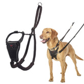 Halti No Pull Harness front view reduces pulling for calmer, more controlled walks