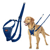 Halti No Pull Harness front clip guides gentle steering on walks