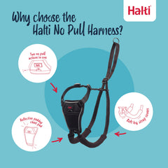 Halti No Pull Harness padded chest offers gentler contact during longer strolls
