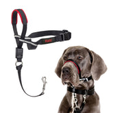 Halti OptiFit headcollar pull-stop for gentler, controlled walks.