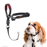 Halti OptiFit headcollar shows pull-stopping action for calm walks.