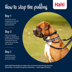 Halti OptiFit reflective straps improve visibility in low light.