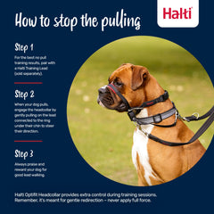 Halti OptiFit reflective-straps boost visibility during dusk walks.