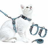 Halypet cat harness escape-proof design for secure outdoor walks.