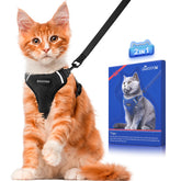 Halypet H200 Pro escape proof harness in action for safe outdoor walks