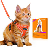 Halypet H600 Pro escape-proof harness provides secure outdoor wear for curious cats.