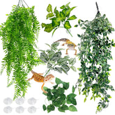 Hamiledyi large hanging leaves, 32 inches, enrich terrarium with natural hiding spots.