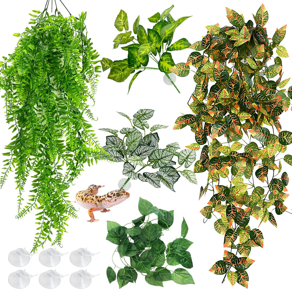 Hamiledyi 5pc reptile plants large hanging leaves enhance enrichment and hideaway spaces