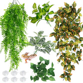 Hamiledyi 5pc reptile plants large hanging leaves enhance enrichment and hideaway spaces