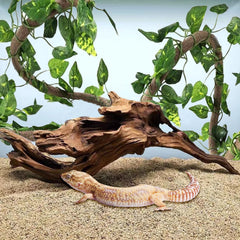 Hamiledyi bendable reptile vine with suction cups for secure mounting.
