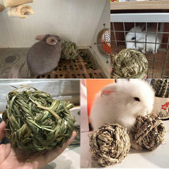 Hamiledyi rabbit chew ball with deep base supports burrowing play.