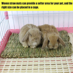Hamiledyi grass mat used as cage lining to provide gentle habitat surface.
