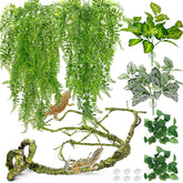 Hamiledyi large hanging leaves for enrichment and shelter in terrariums.