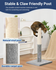 Happi N Pets sisal scratch post feature for durable clawing satisfaction