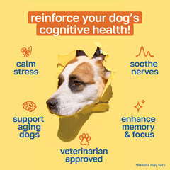 Happy Paws chicken-flavored dog chews for easy daily supplementation.