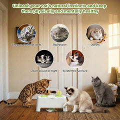 HAPPYCODE Magic House auto-play motion keeps cats engaged with irregular patterns