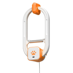 HAPPYCODE rechargeable cat teaser demonstrates 360° spin for active play.