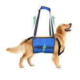 HAPPYHAO dog lift harness showing adjustable straps for secure mobility support