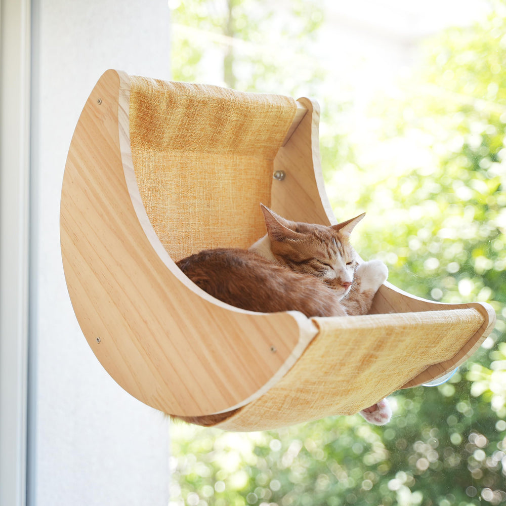HAPYKITYS Moon Perch assembly secures a window view for your cat.