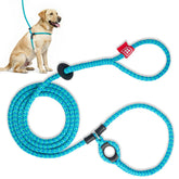 Harness Lead escape-proof harness secures dogs during walks and training.