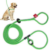 Harness Lead escape-proof harness demonstrates secure fit and escape resistance.