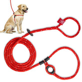 Harness Lead no-pull dog harness demonstrates escape-proof fit for safe walking.