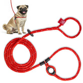 Harness Lead no-pull harness dog front view shows secure, comfortable fit.