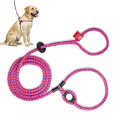 Harness Lead no-pull harness escape-proof design for safer daily walks.
