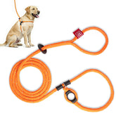 Harness Lead no-pull harness for escape protection during daily walks.
