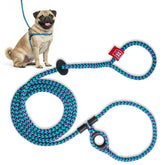 Harness Lead no-pull harness with escape-proof design for calmer walks.