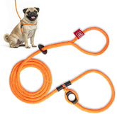 Harness Lead no pull harness front clip for calm, controlled walks.
