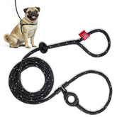 Harness Lead no-pull harness front view shows secure, calm-walk fit.