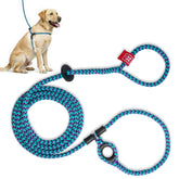 Harness Lead no-pull harness and leash with circular insert for calmer walks.