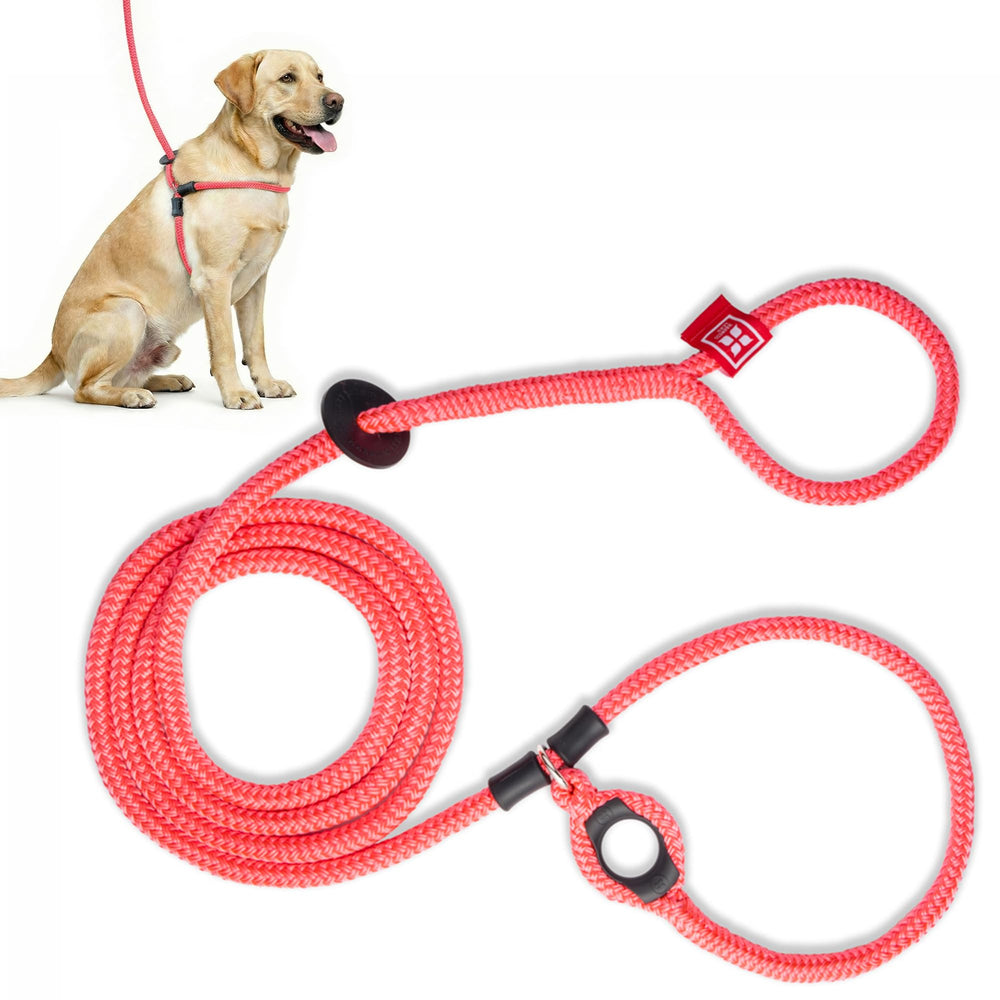 Harness Lead no-pull pink harness for calmer, controlled walks.