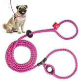 Harness Lead no-pull harness pink purple front view for calm walks.