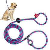 Harness Lead no pull harness worn during a calm walk