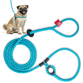 Harness Lead no-pull harness with escape-resistant design for calm walks.