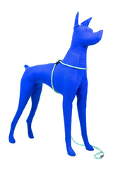Harness Lead one-piece design emphasizes continuous wear without rubbing.