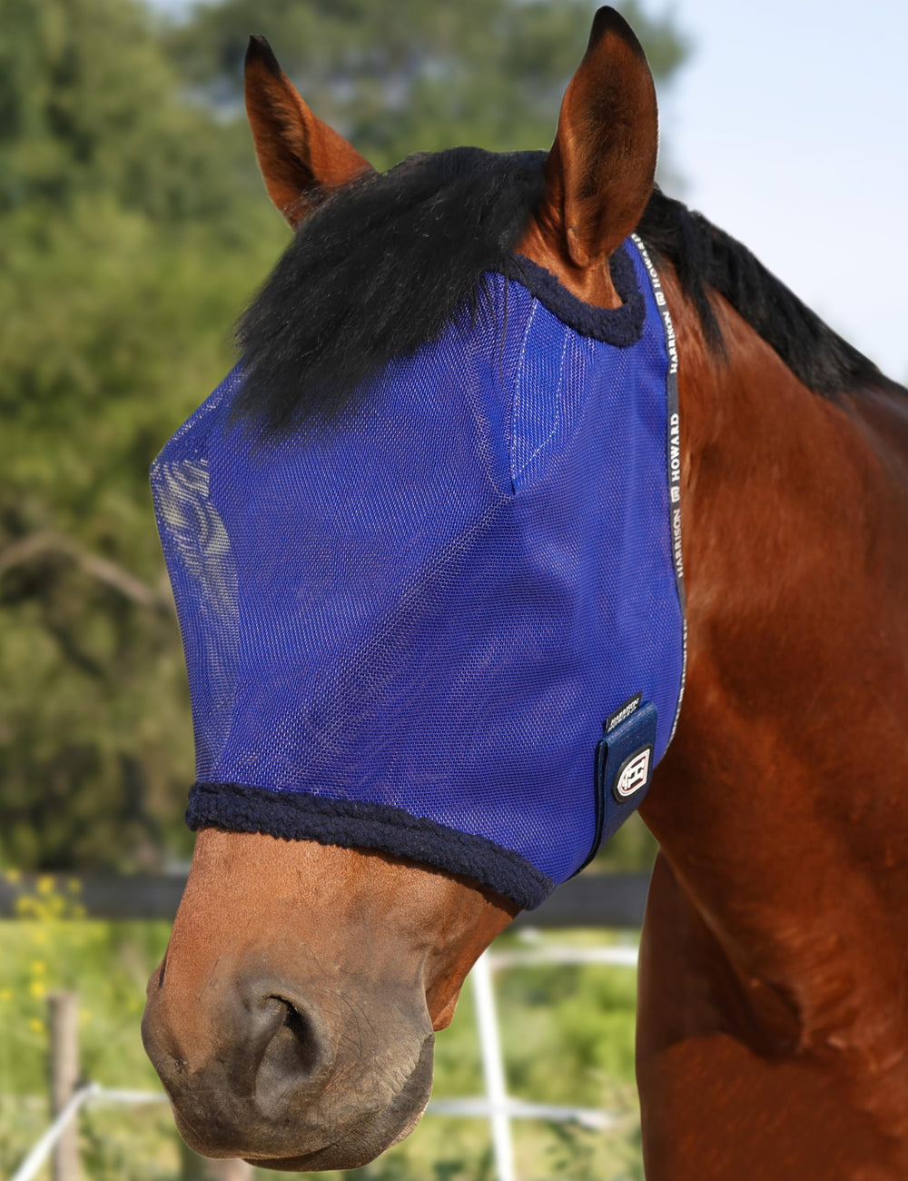 Harrison Howard all-round mesh fly mask on horse showing full coverage and breathability