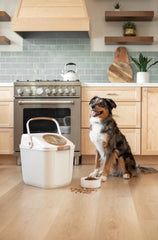 Harry Barker dry kibble storage for dog and cat food in a sleek, space-saving container.