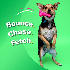 Hartz DuraPlay boomerang toy squeaker for active play.