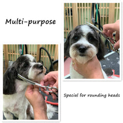 Hashimoto dog scissors curved blade for precise contouring during grooming
