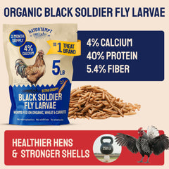 Hatortempt BSFL larvae provide high calcium for laying hens.