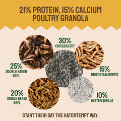 Hatortempt mealworms visible in the mix support protein for laying hens.