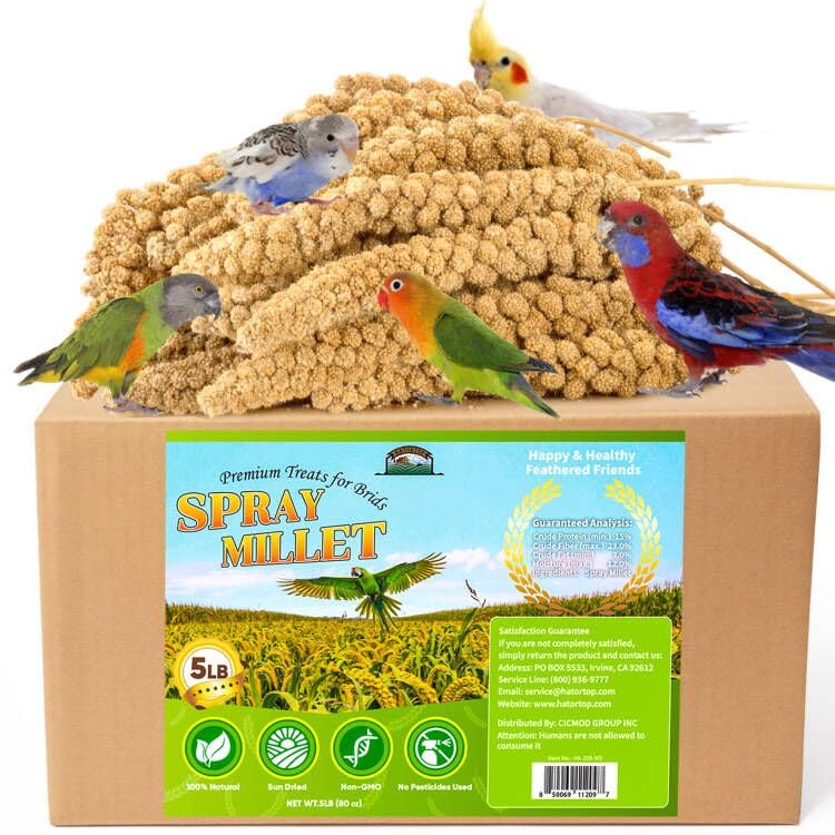 Hatortop Spray Millet for Birds 5lb bag shows a healthy, energy-boosting treat.