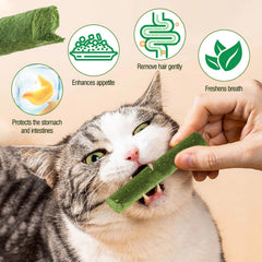 HavenJanny cat grass teething stick chicken-core reveals flavorful blend cats enjoy