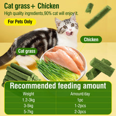 HavenJanny cat grass teething stick closeup grass highlights natural ingredients cats love