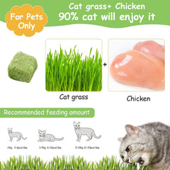 HavenJanny cat grass teething sticks ideal for early teething comfort.