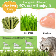 HavenJanny freeze-dried cat grass snacks close-up, natural treat with dental support