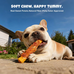 Havira digestive-friendly fiber snack supporting gentle digestion and tummy comfort.